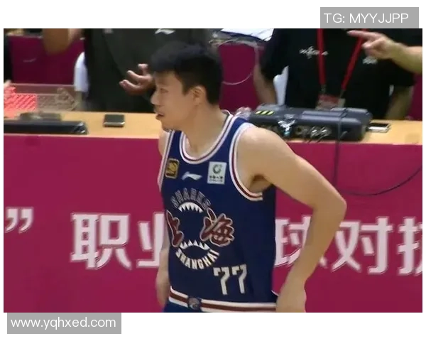 上海男篮与辽宁队精彩对决全场录像回放及精彩瞬间分析